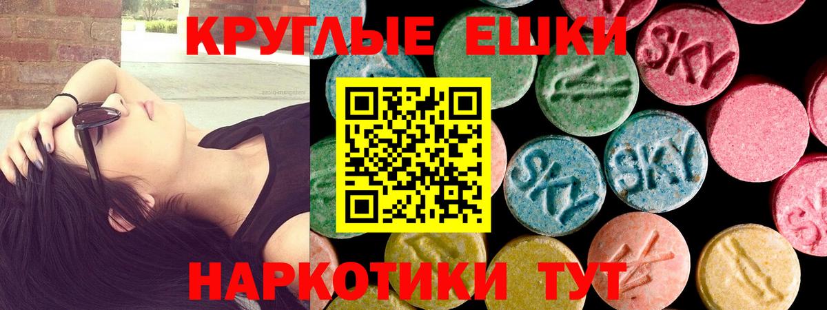 Северобайкальск  Ecstasy Philipp Plein  ЭКСТАЗИ  Вход с VPN  Экстази Дубай 