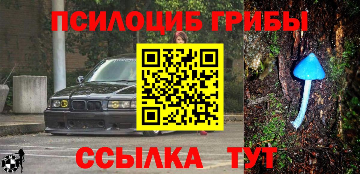 Северобайкальск  Псилоцибиновые грибы Magic Shrooms  Вход с VPN 